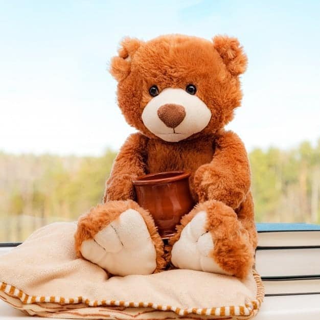 Teddy Bear Whatsapp DP