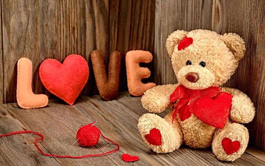 Teddy Bear Whatsapp DP
