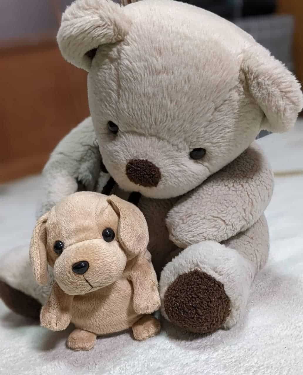Teddy Bear Whatsapp DP