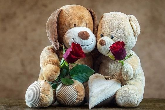 Teddy Bear DP