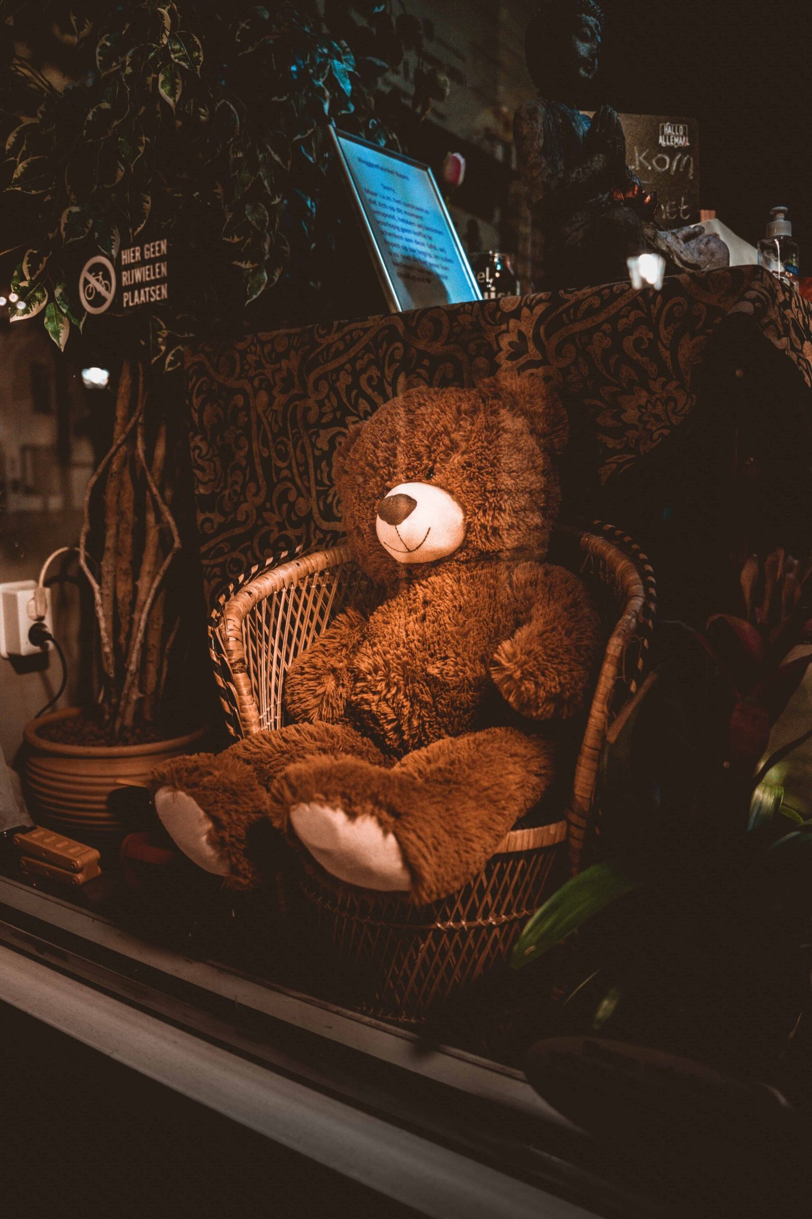 Teddy Bear DP