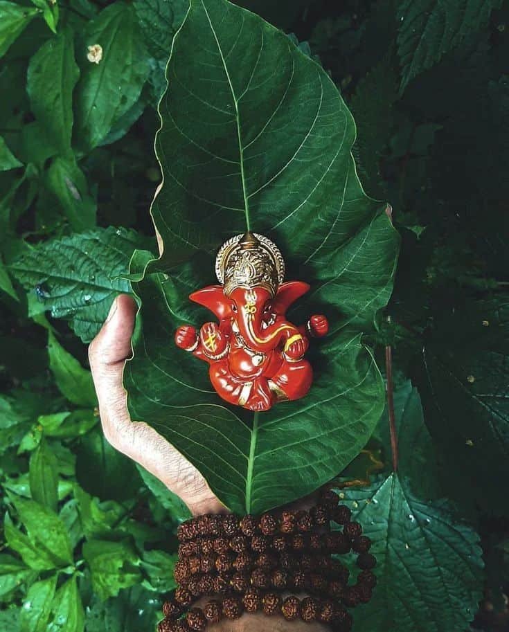 Vinayagar Pics