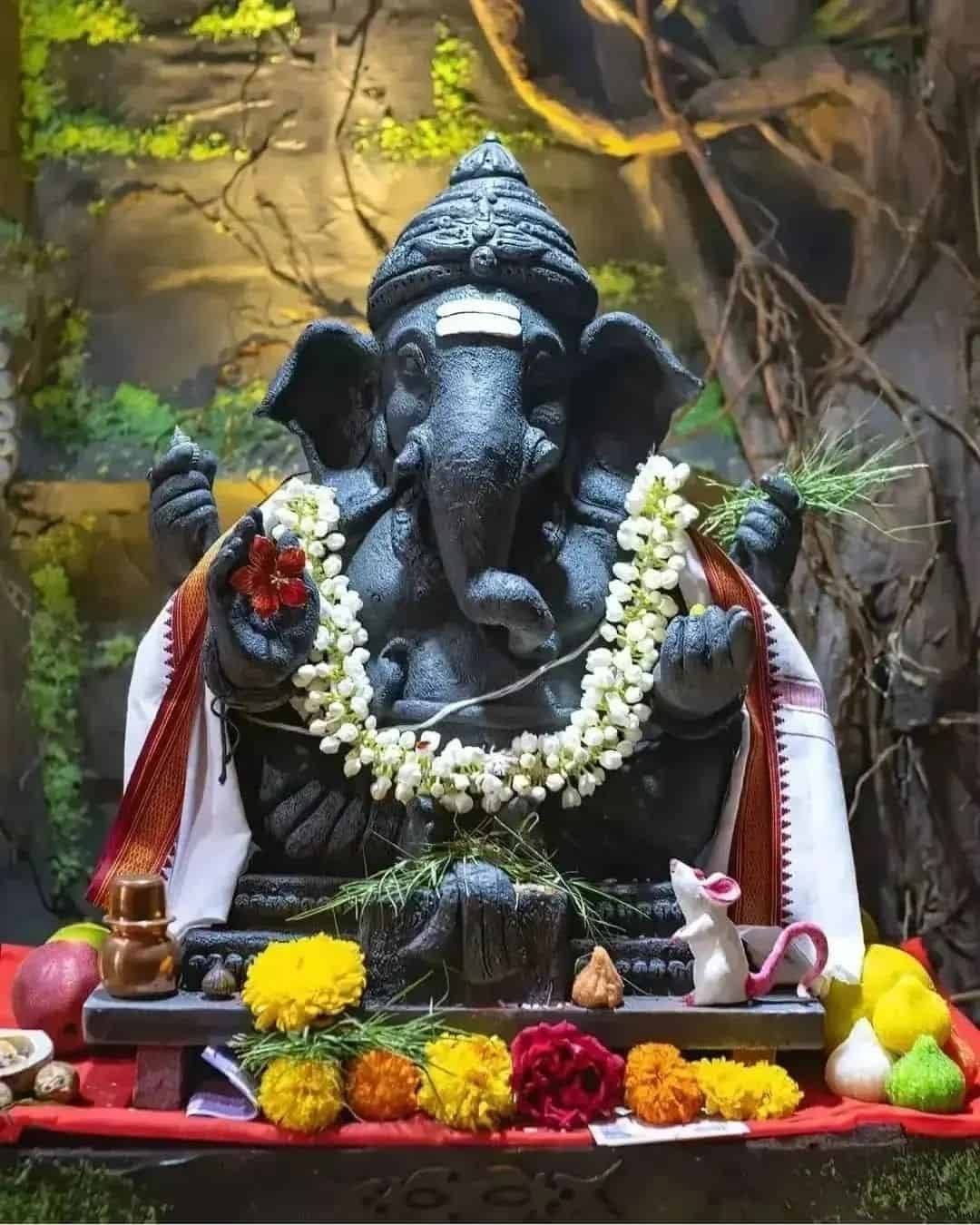 Vinayagar Pictures