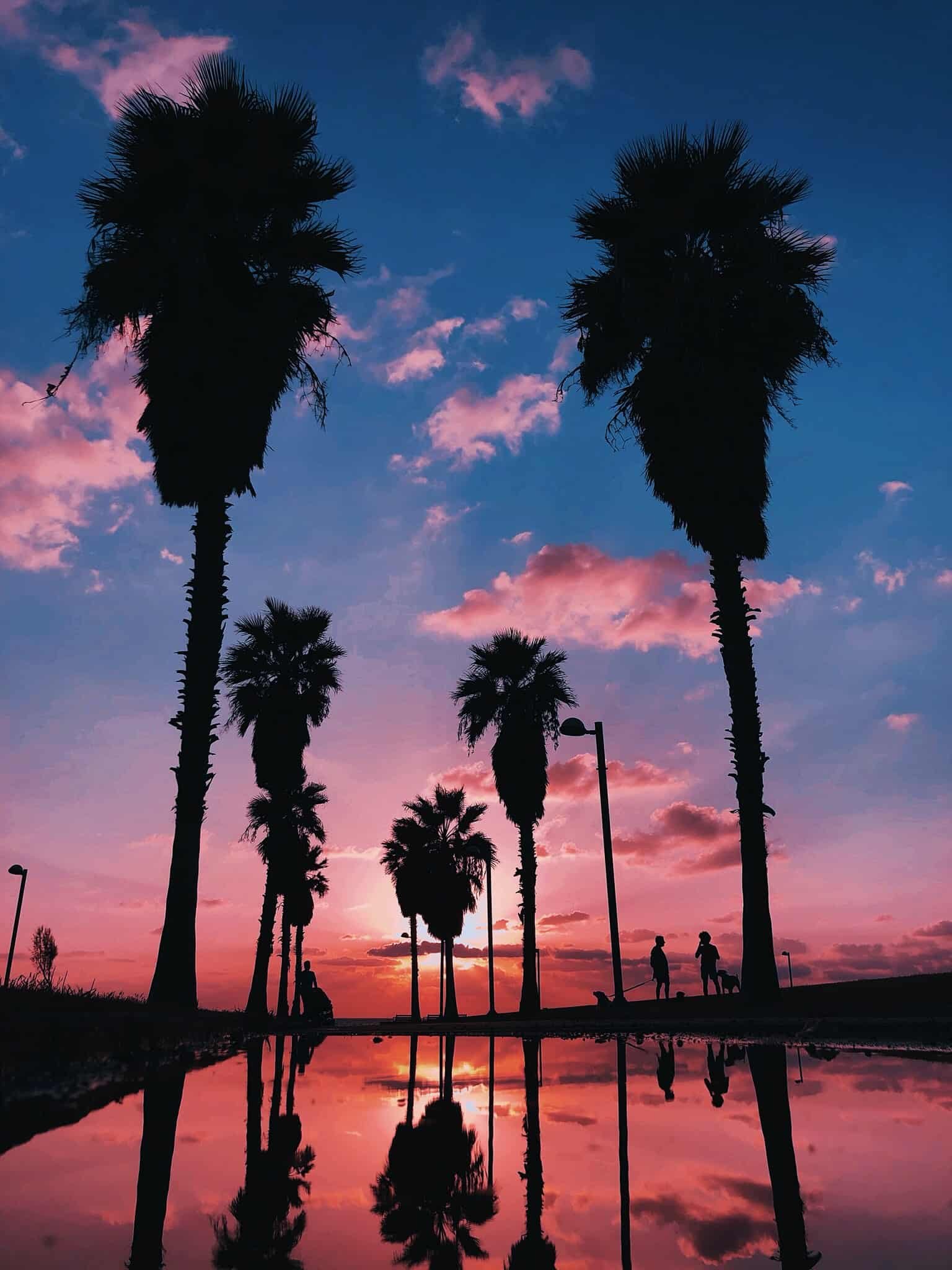 Aesthetic DP for Girls
