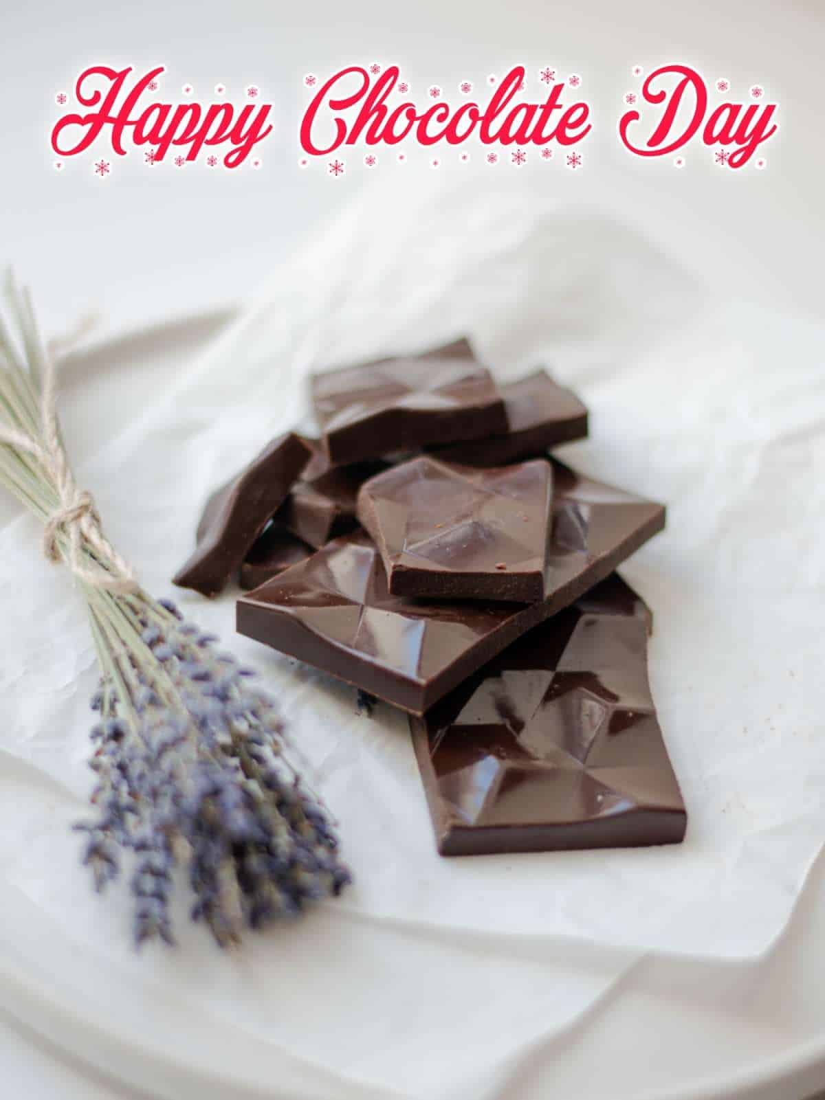 Chocolate Day Photo