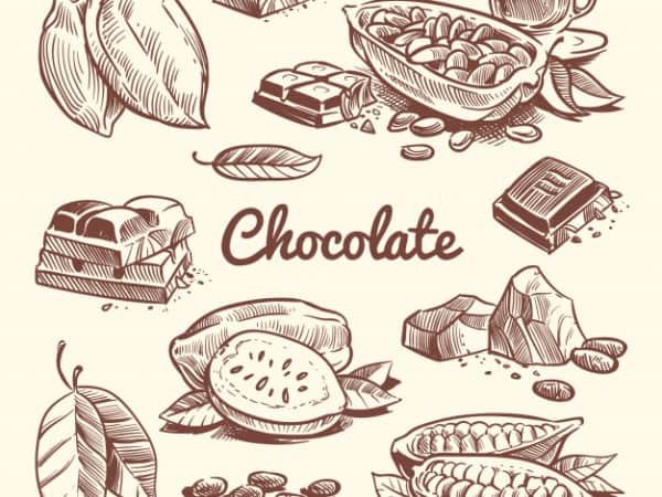 Chocolate Day Photo