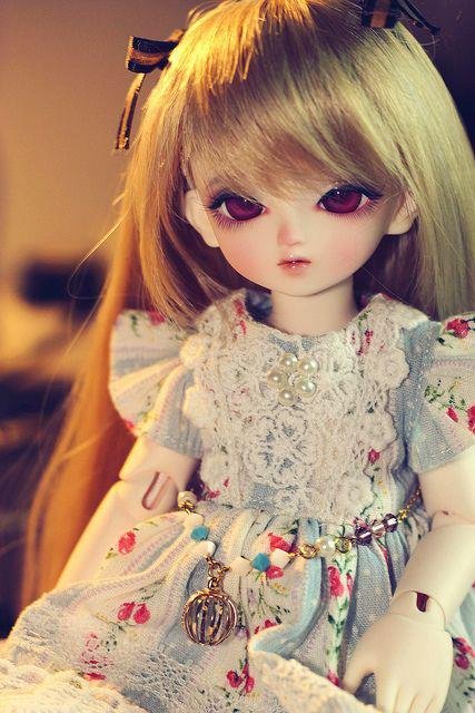 Doll DP HD