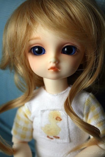 Cute Doll DP