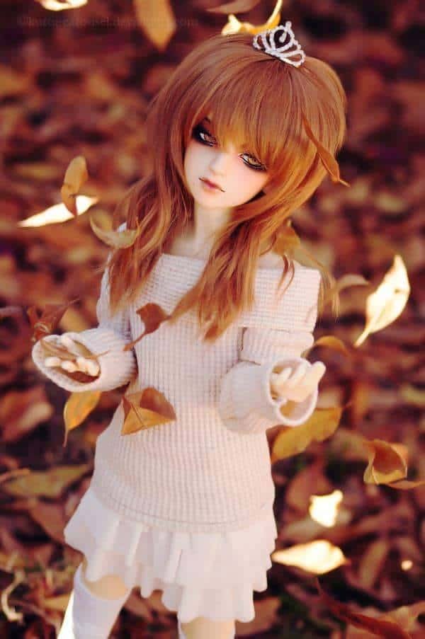 Doll Photo DP