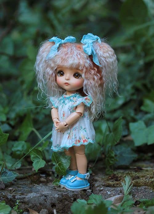 Doll Pic DP