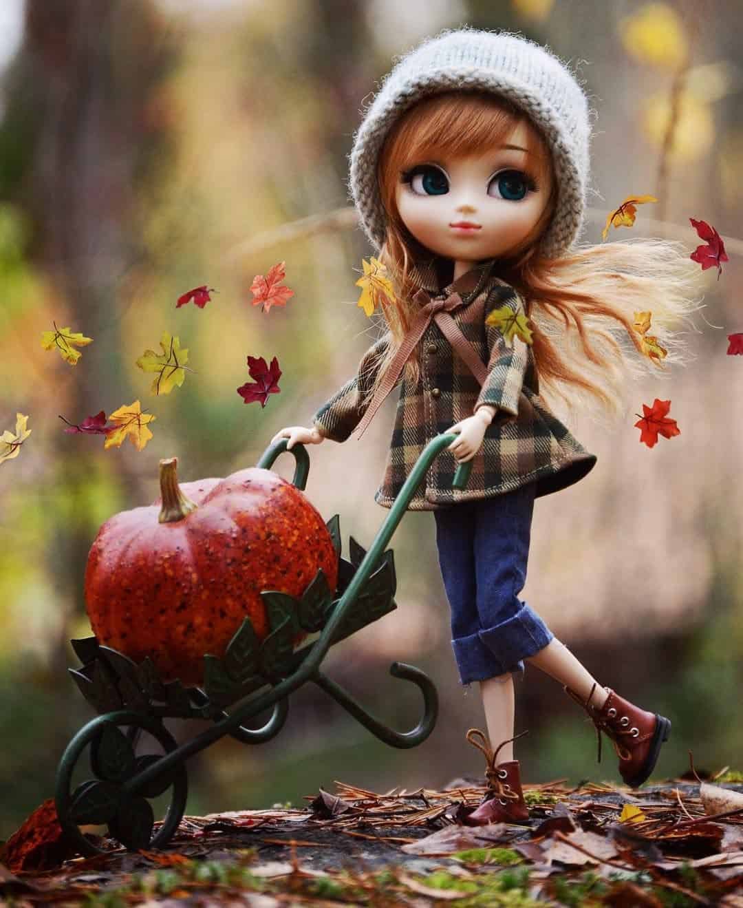 Doll DP