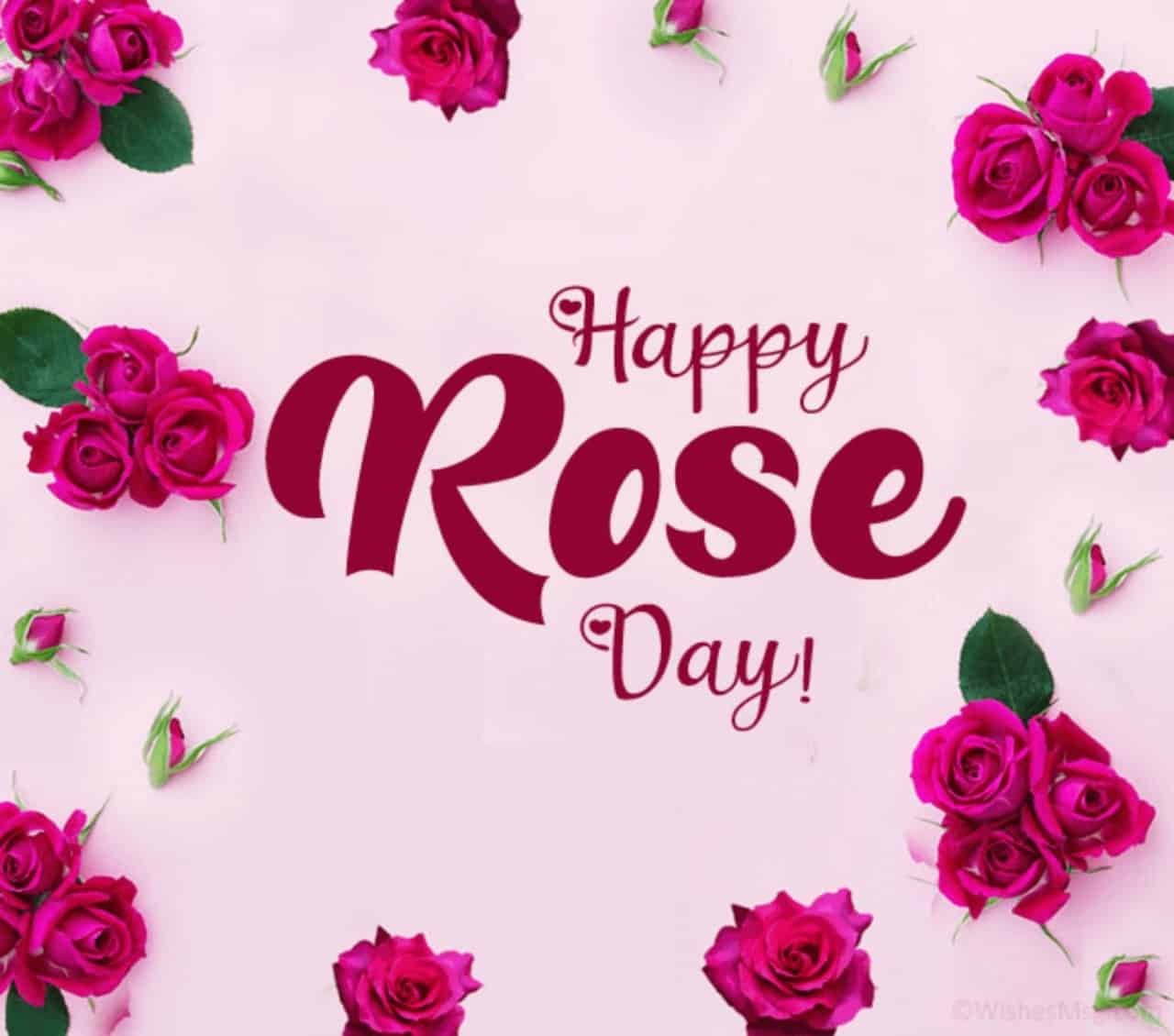 Rose Day Images