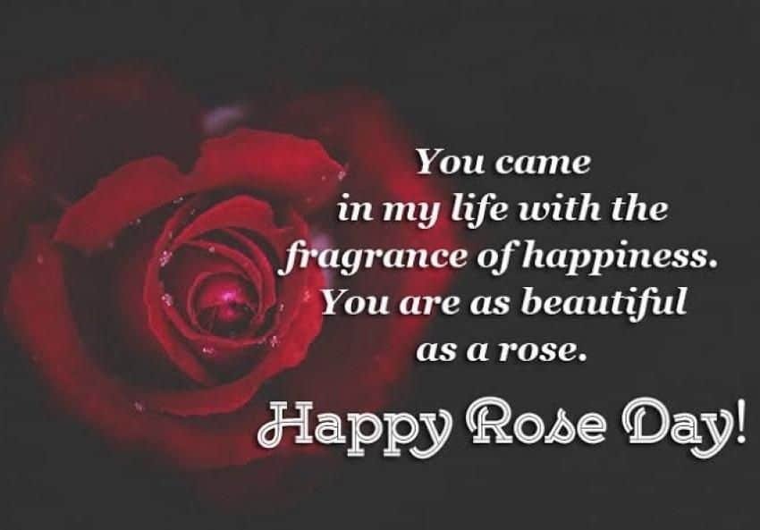 Happy Rose Day Images