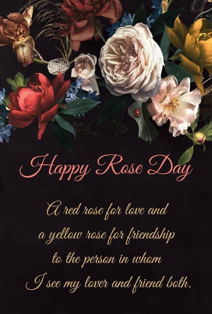 Rose Day Images HD