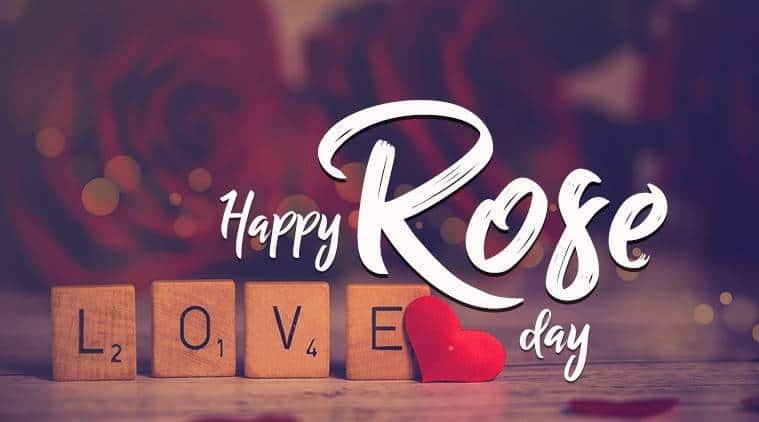 Rose Day Images HD