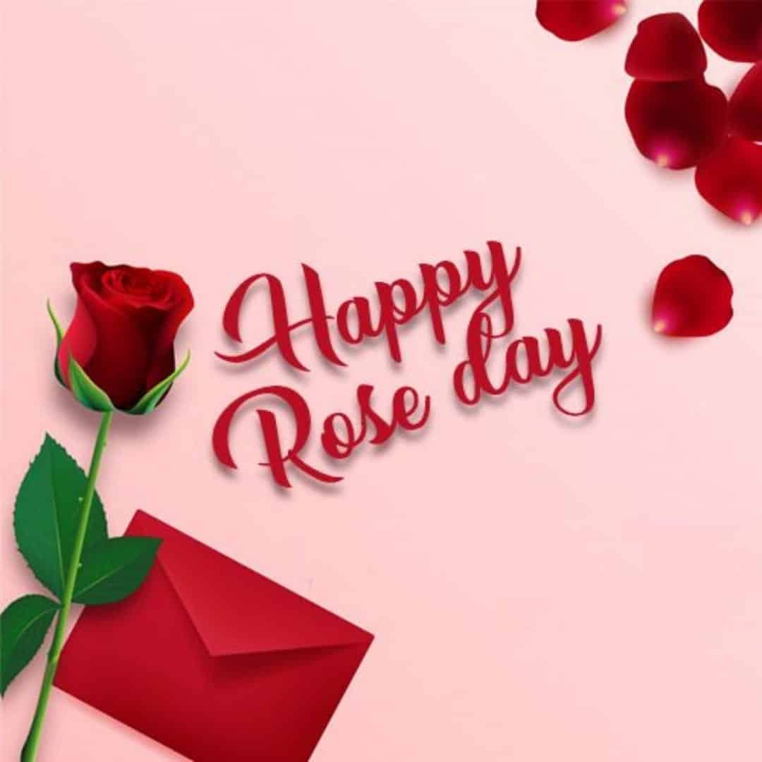 Rose Day Images