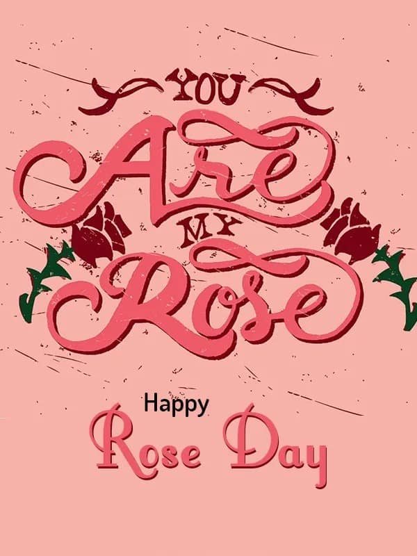 Valentine Rose Day Images