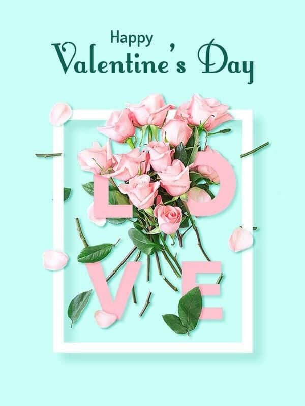 Valentine Rose Day Images