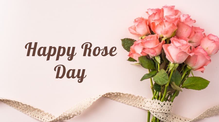 Rose Day Pic