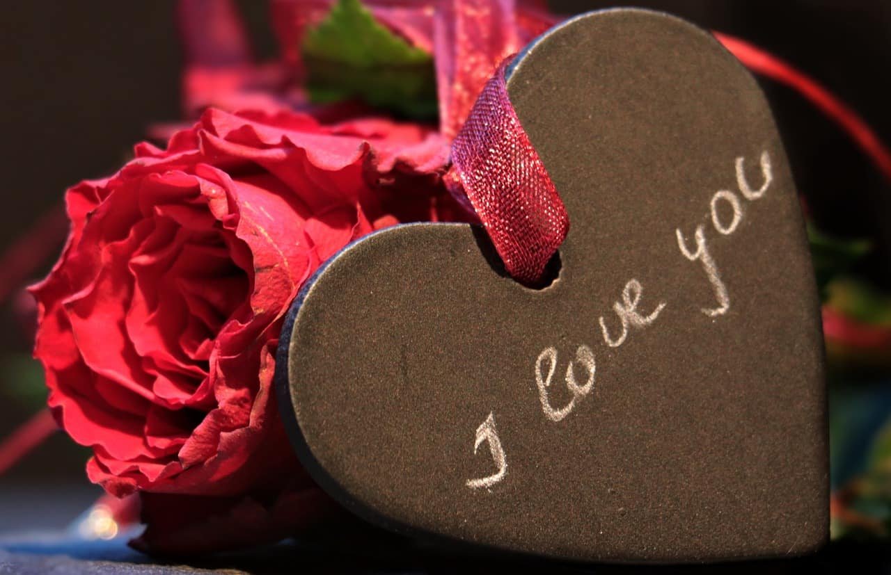 Rose Day Pic