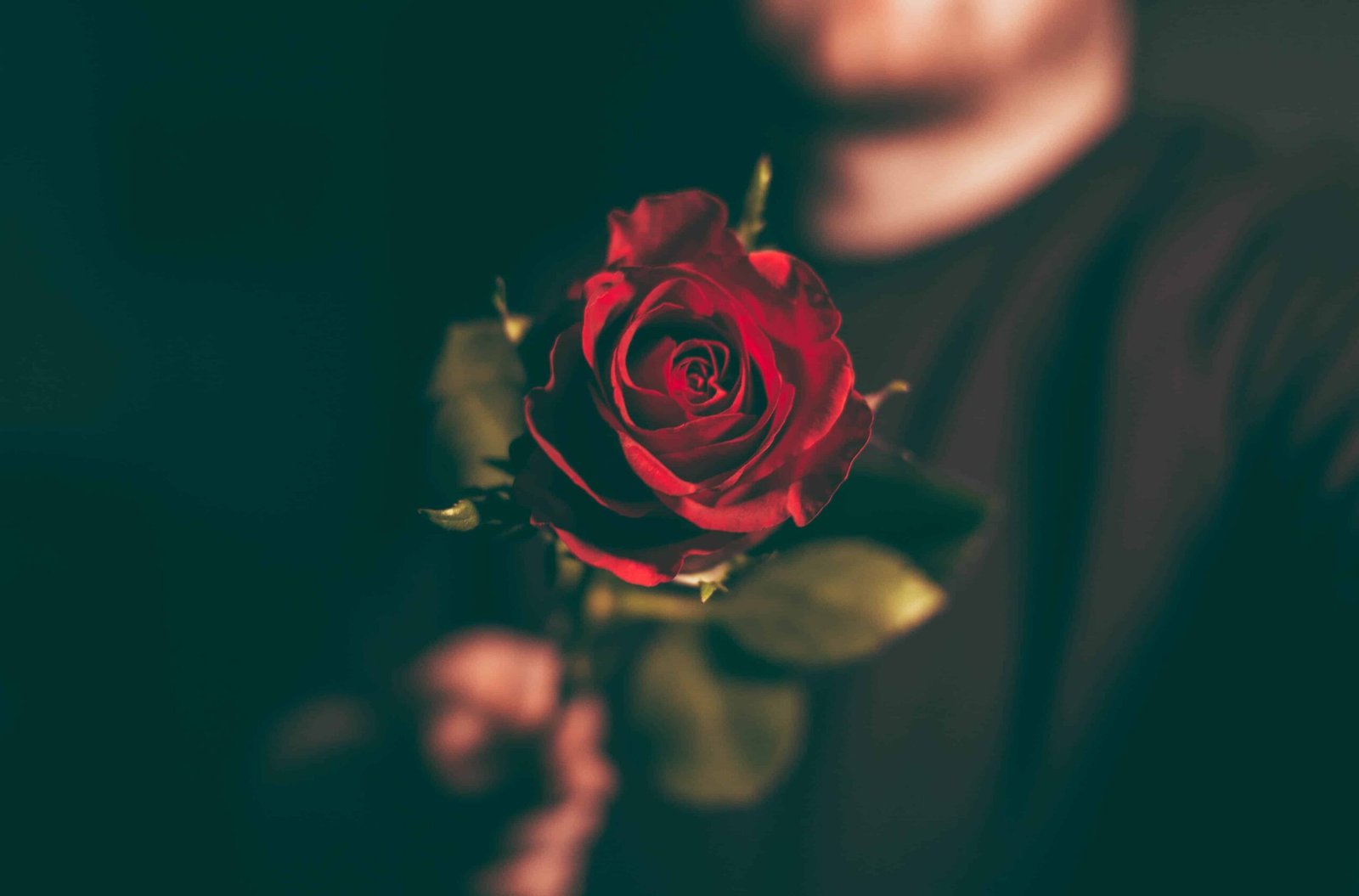 Rose Day Pic