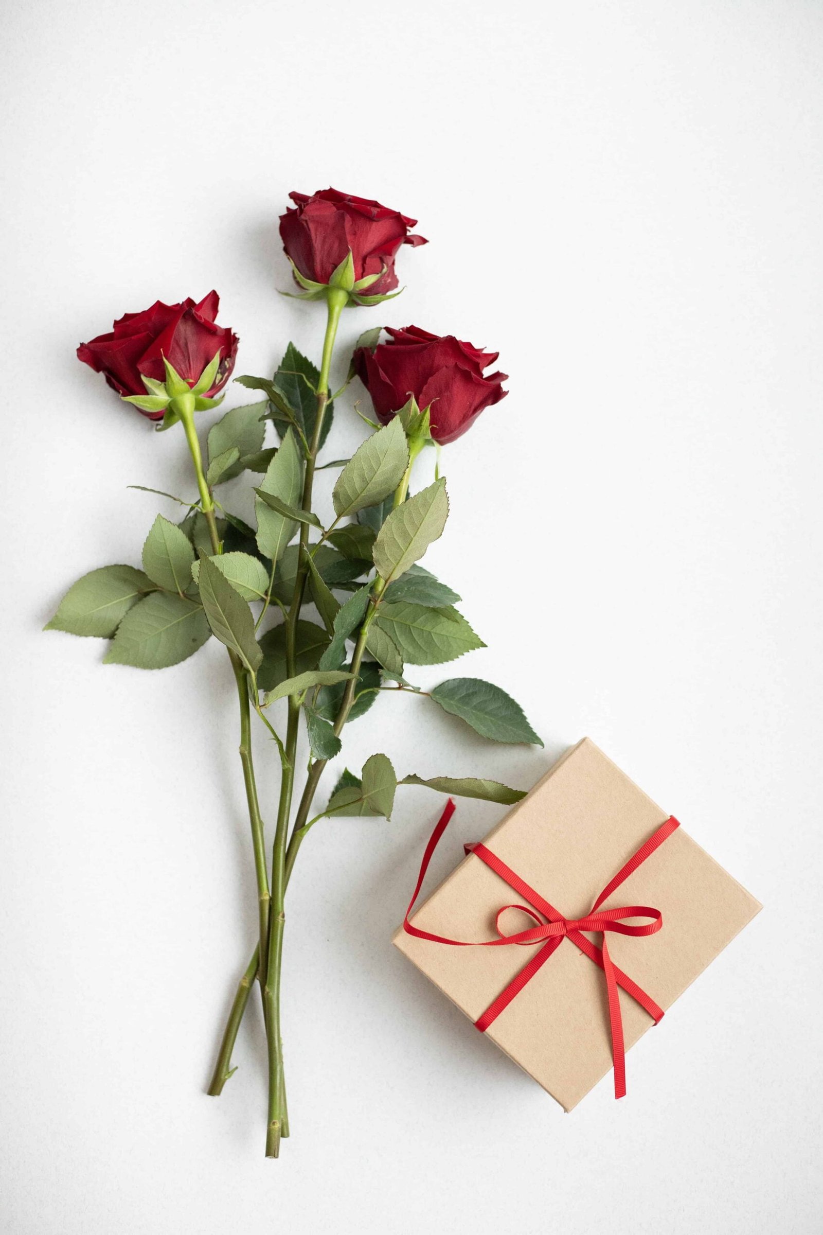 Rose Day Photo