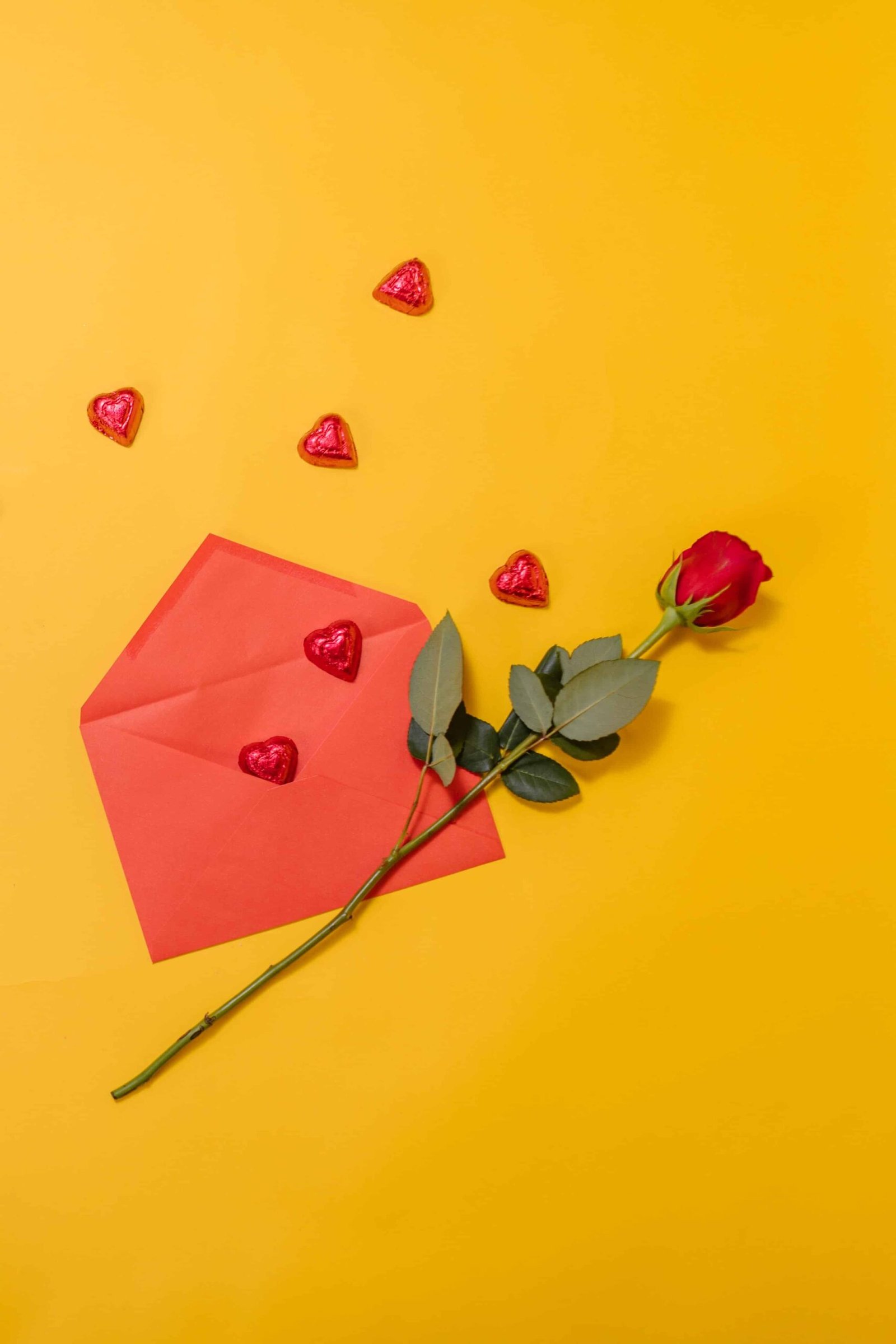 Rose Day Photo