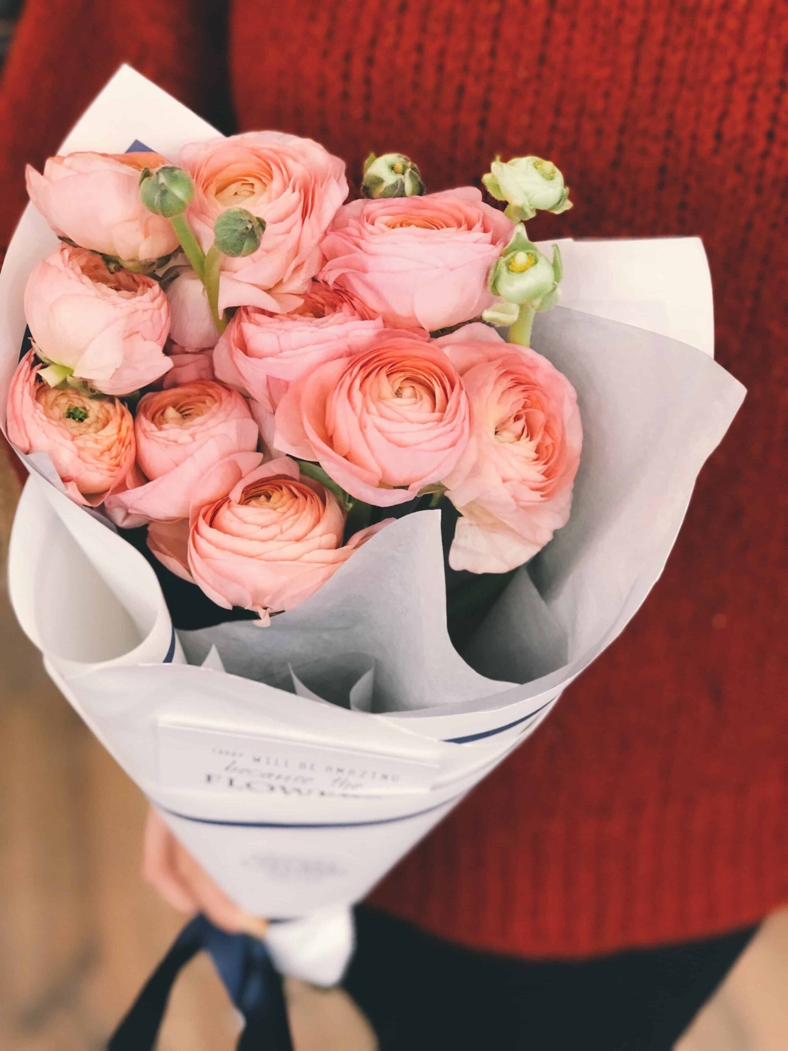 Rose Day Photo