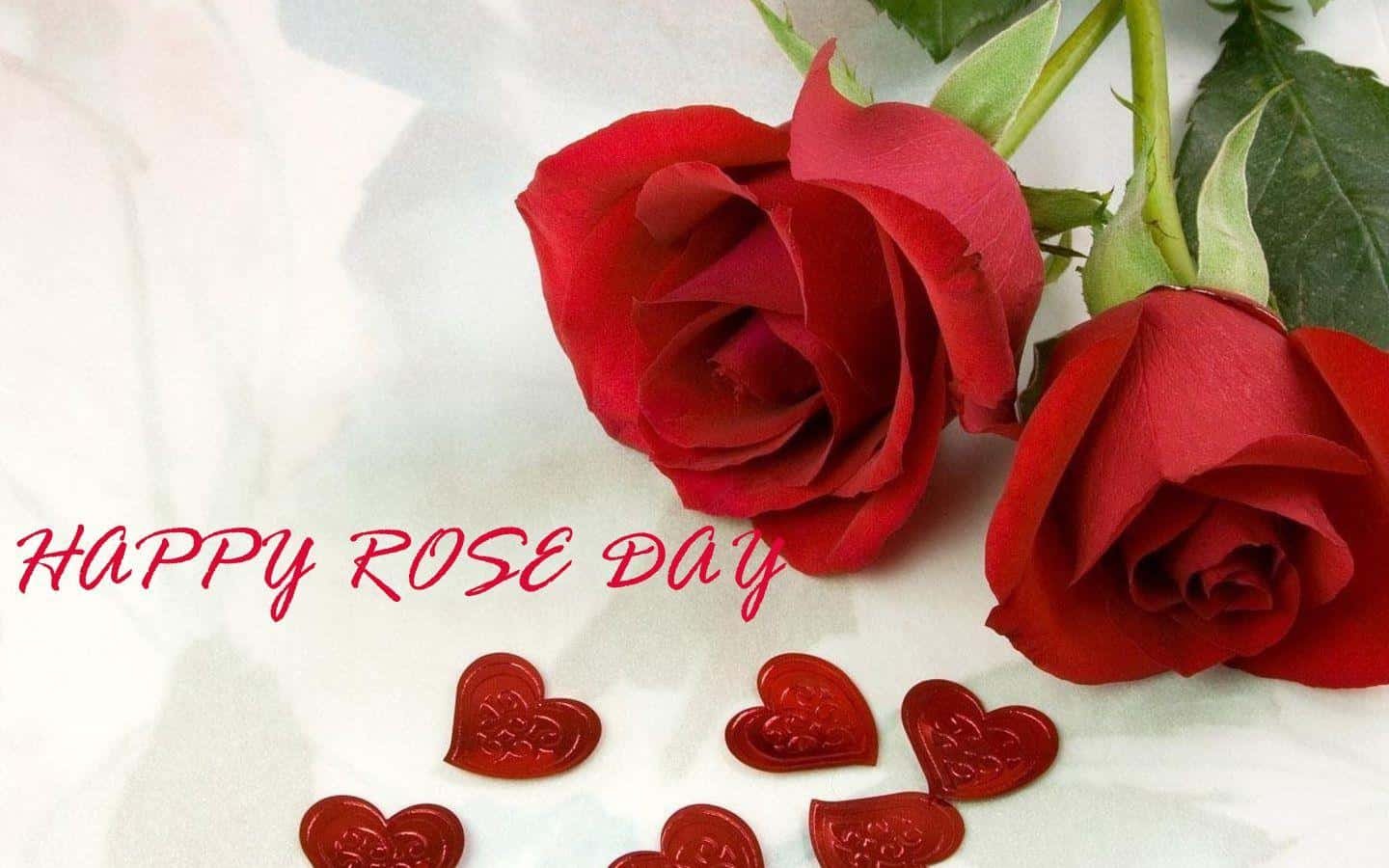 Rose Day Images