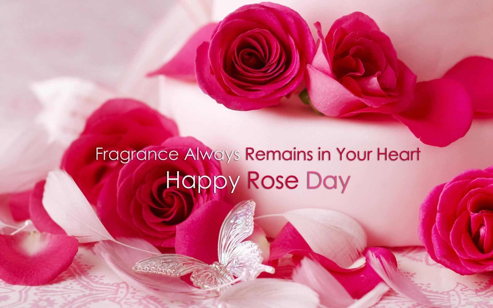 Rose Day Wallpaper