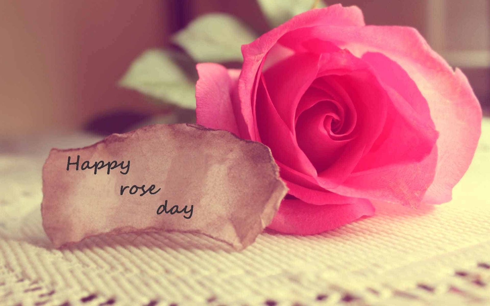 Rose Day Images for Husband