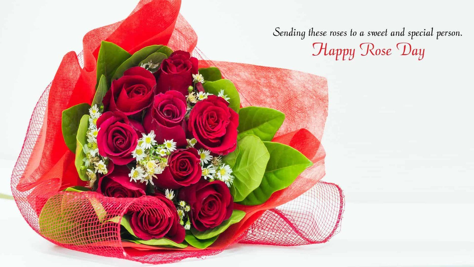 Rose Day Images for Husband