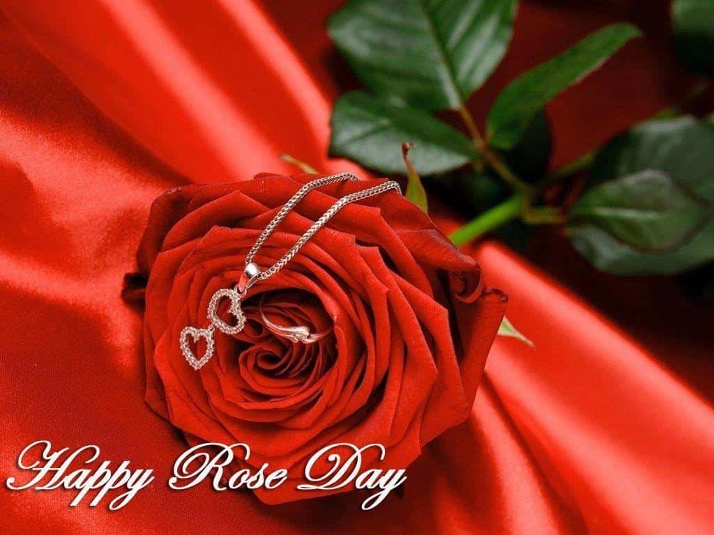 Rose Day Images