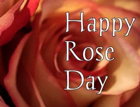 Happy Rose Day Images
