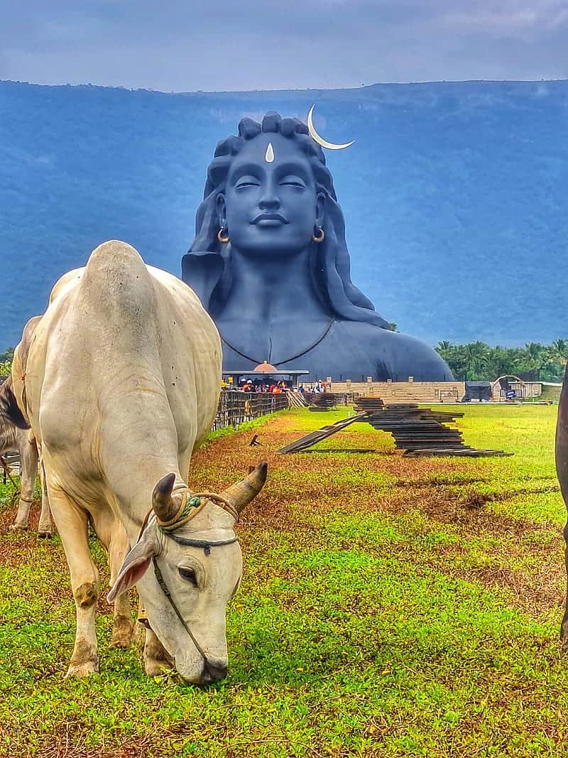 Shiva Adiyogi Images