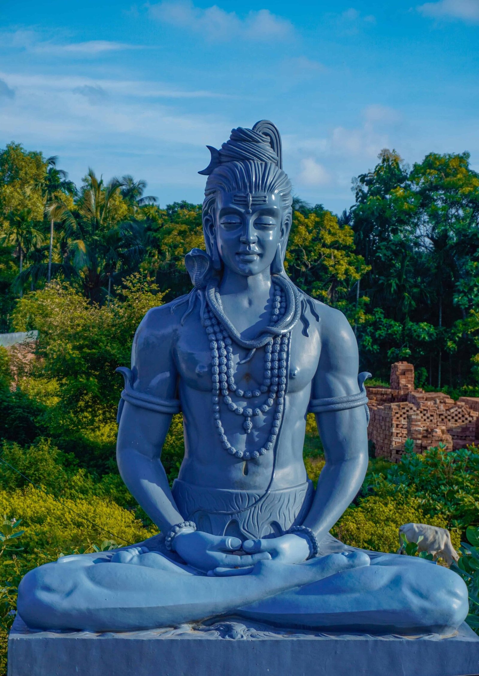Adiyogi Photos