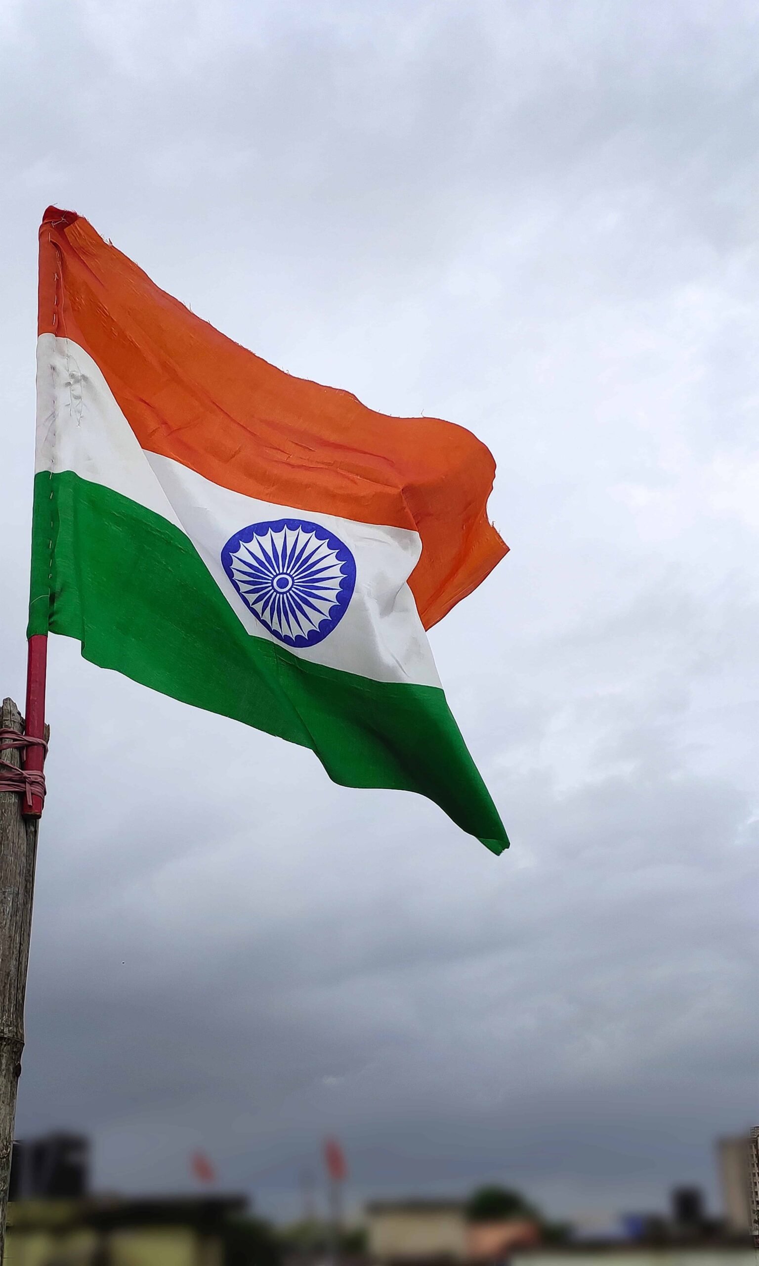 Indian Flag for DP