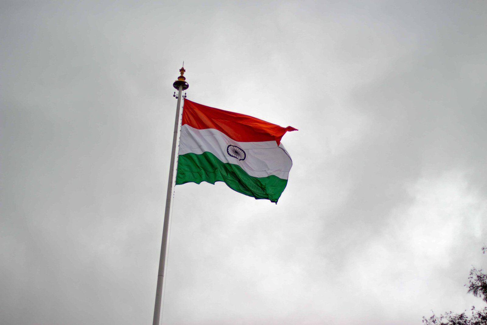 Indian Flag Whatsapp DP