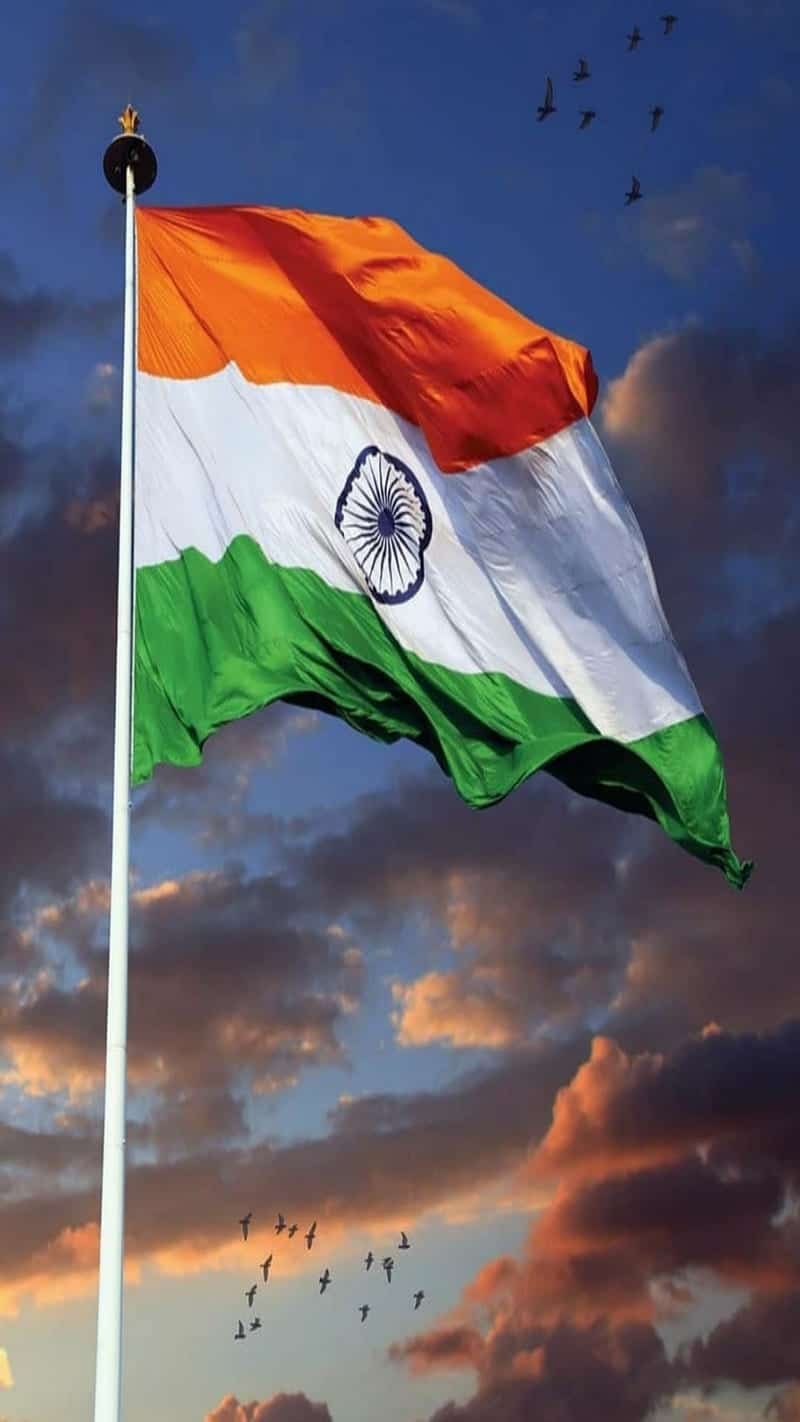 India Flag DP