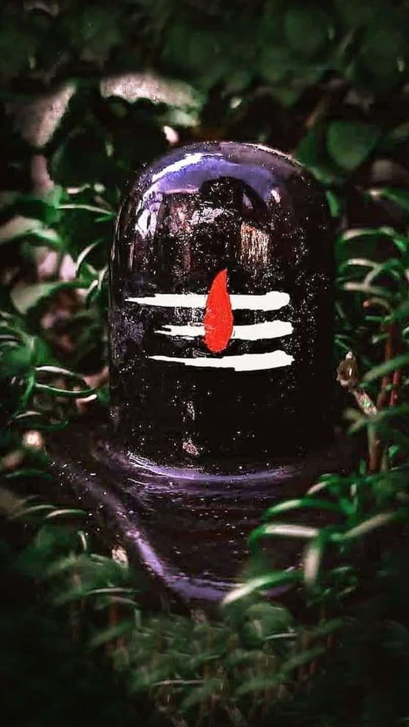 Shivling Images HD