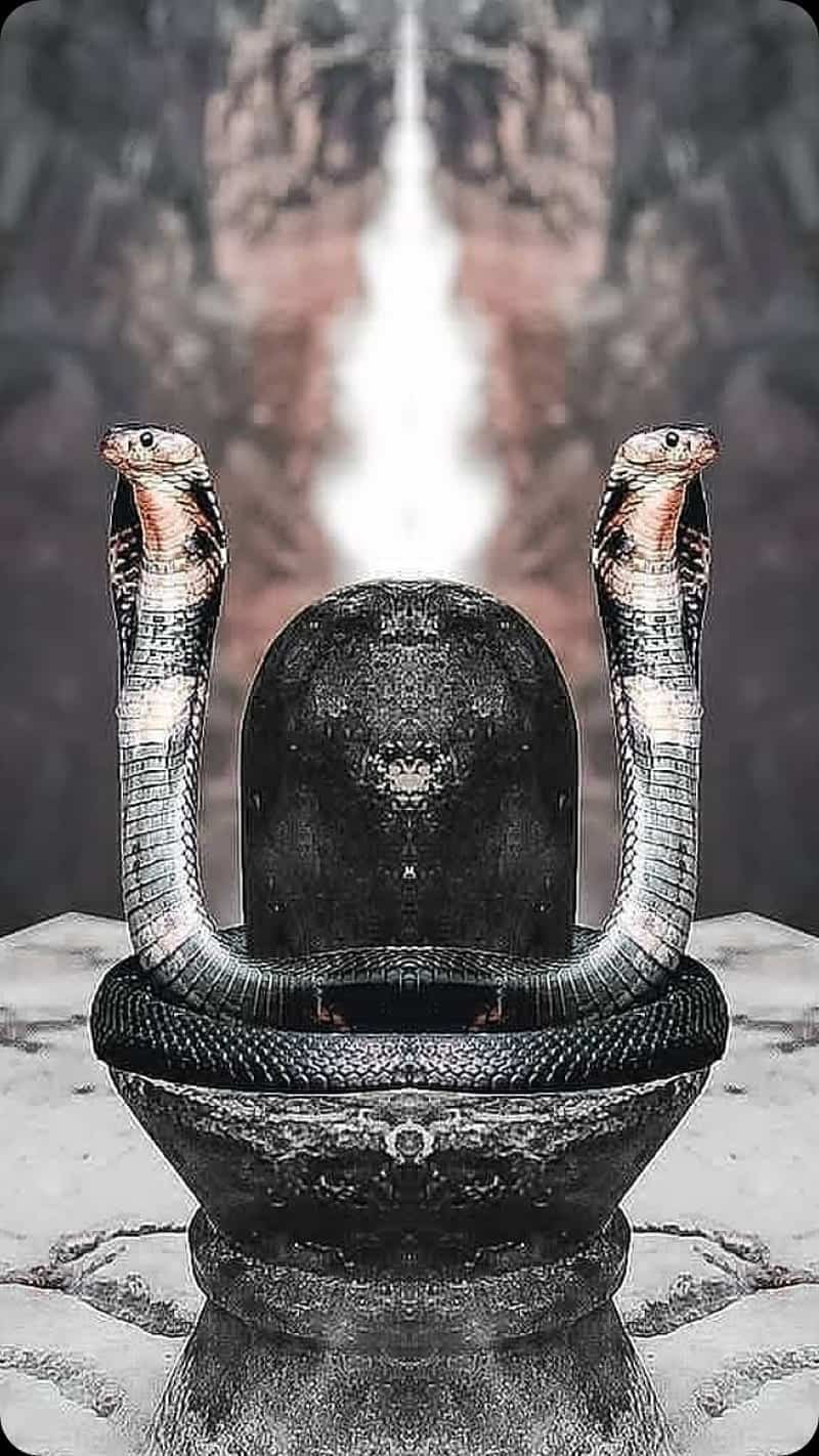Shivling Images HD