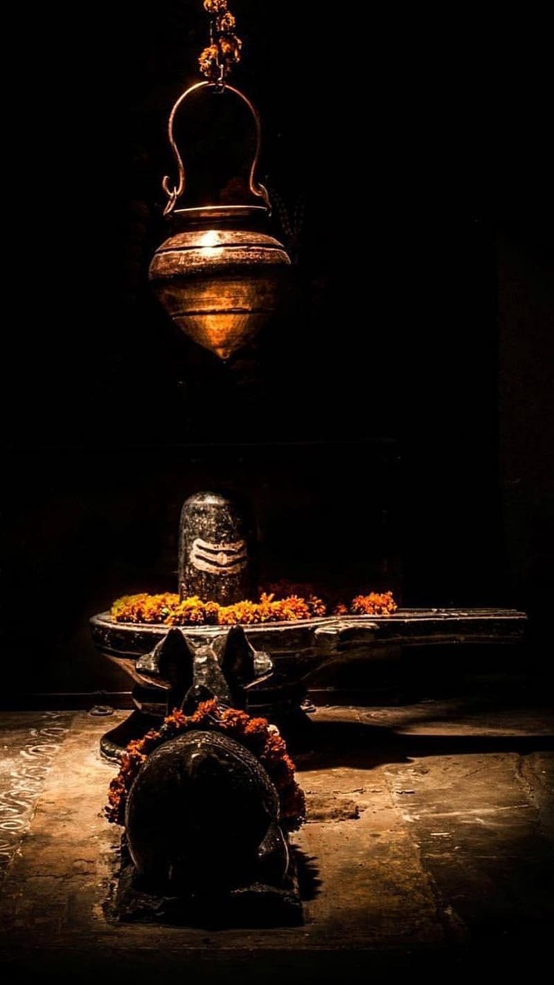 Original Shivling Images