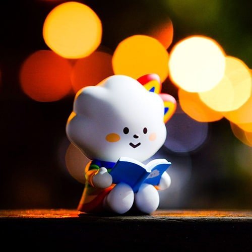 Study DP for Boy