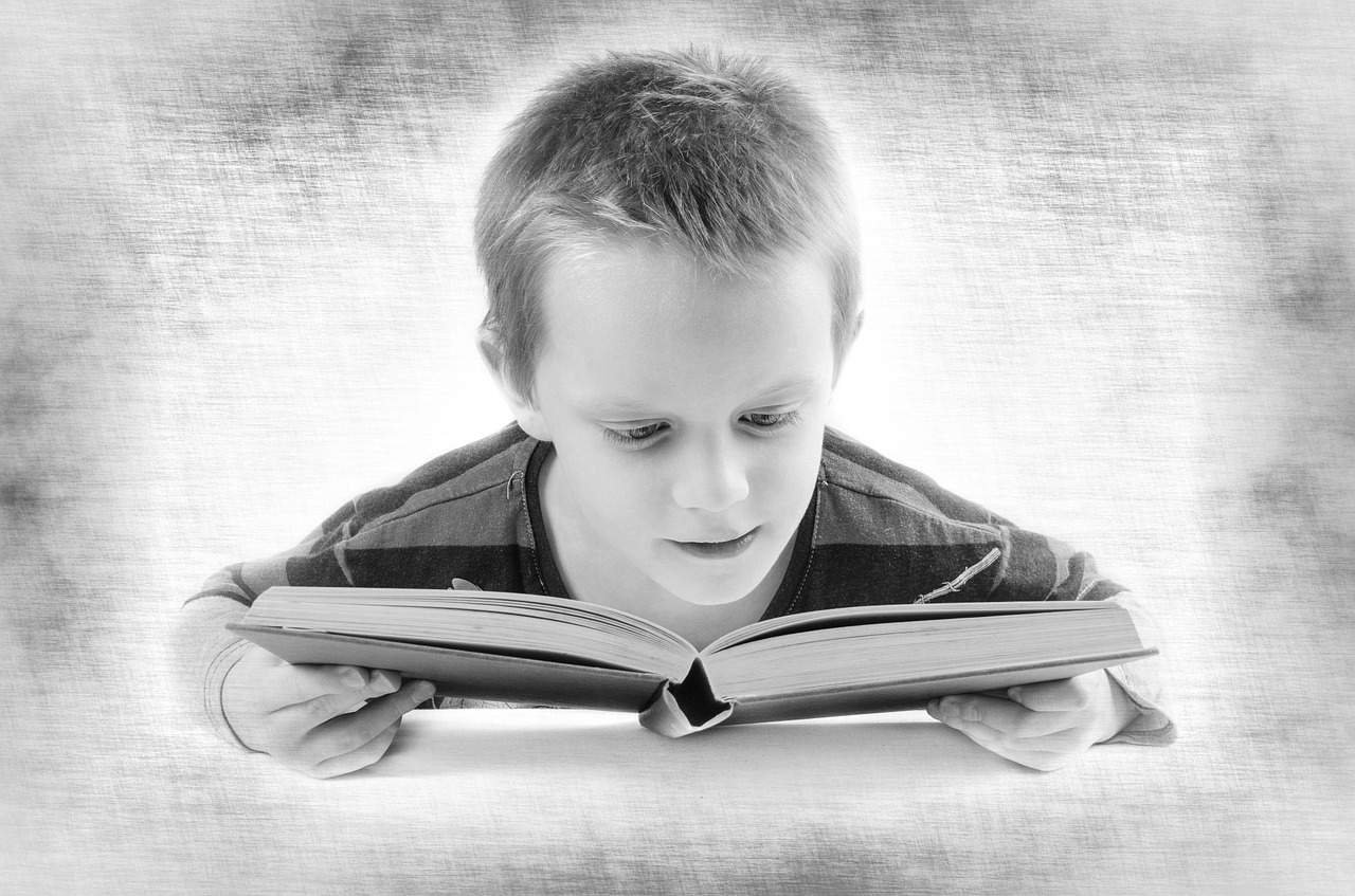 Study DP Images