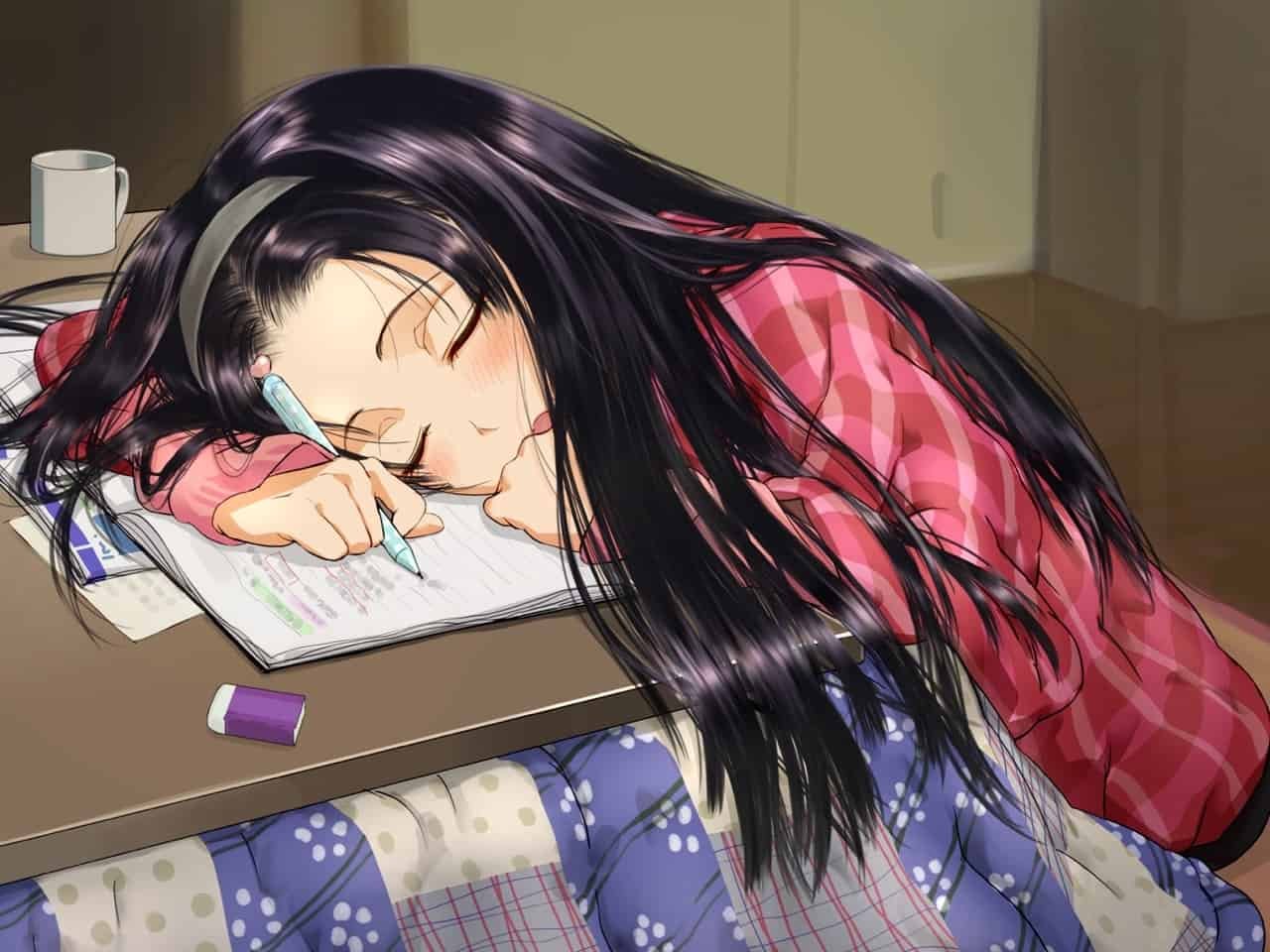 Study DP HD