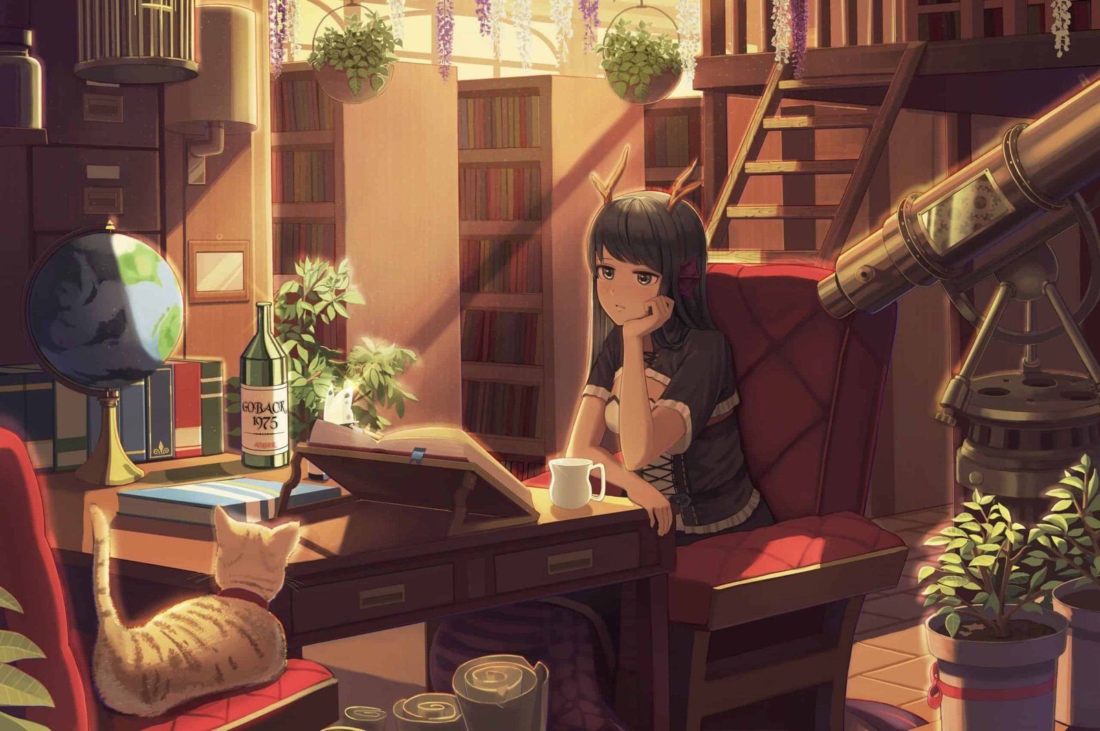 Study DP
