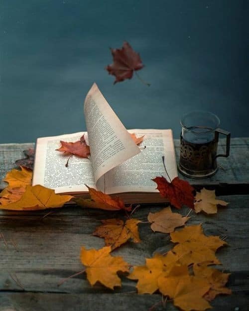 Books DP HD