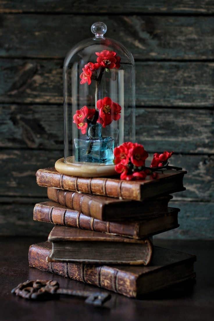 Books DP HD
