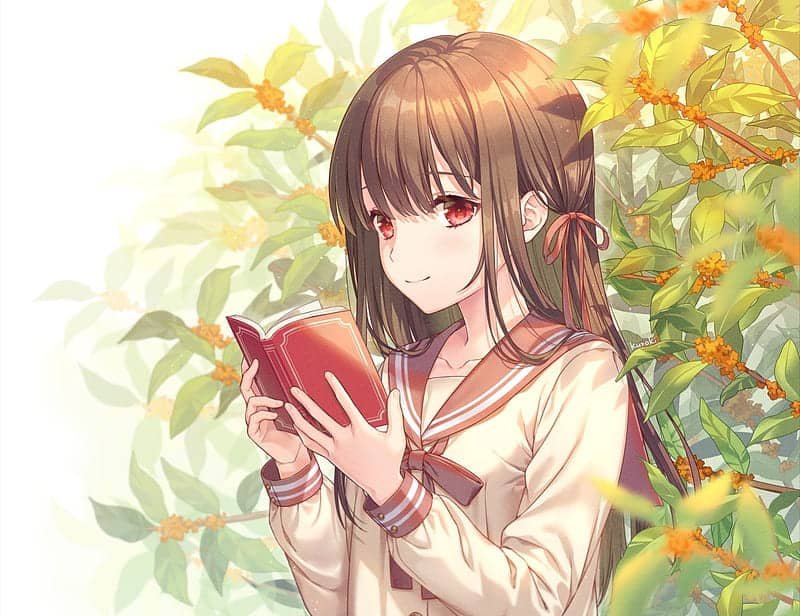 Books Whatsapp DP