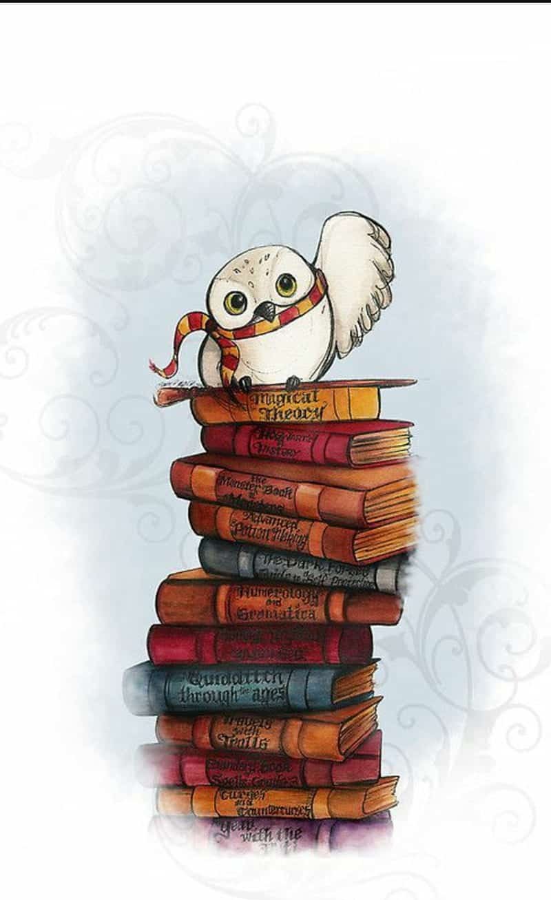 Books Whatsapp DP